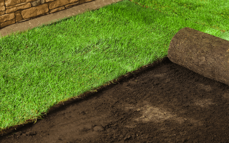 Sod Installation Services in Bristow, VA